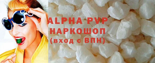 стаф Бородино