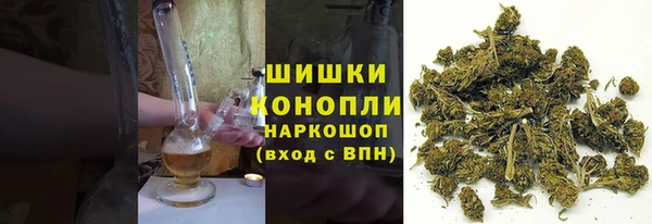 стаф Бородино