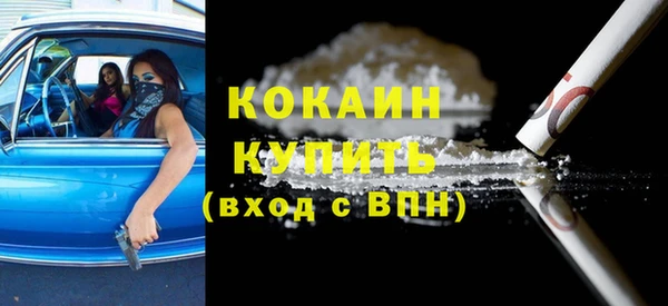 стаф Бородино