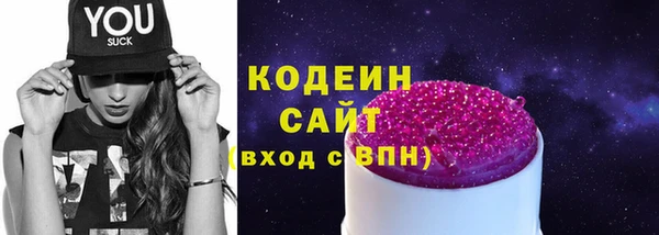 стаф Бородино