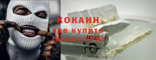 стаф Бородино