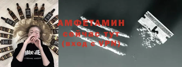 стаф Бородино