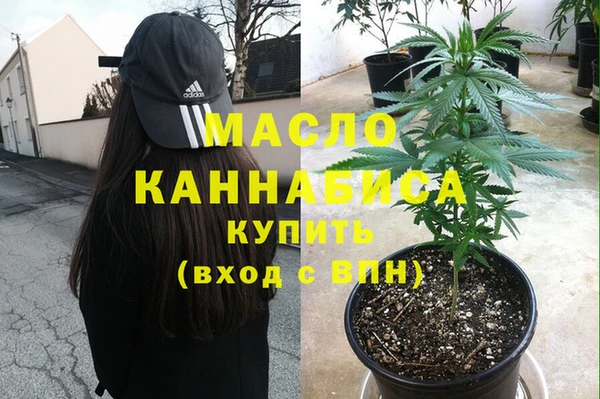 стаф Бородино