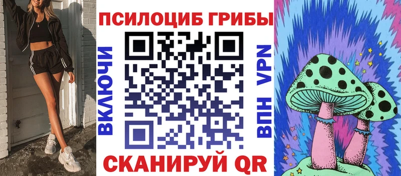 Псилоцибиновые грибы Psilocybine cubensis Кущёвская