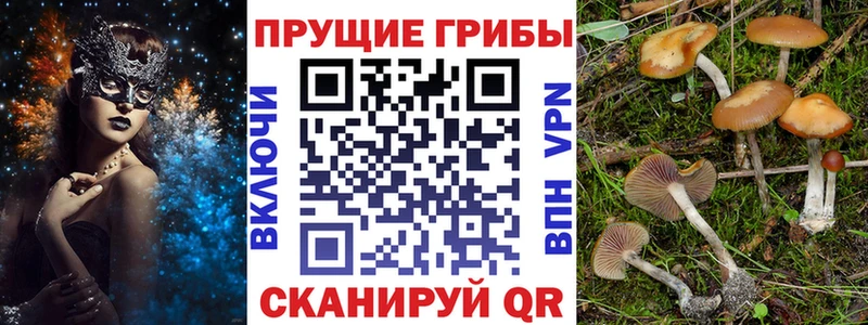 Псилоцибиновые грибы мухоморы  сайты даркнета клад  hydra ССЫЛКА  Кущёвская  купить  